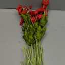 ATFL Red Poppy Flowers Artificia Fake Faux Silk Poppies Bulk with Stems
red poppies, 12-pack 23.5", realistic artificial silk poppy flowers, silk stems perfect for memorial day home wedding decor