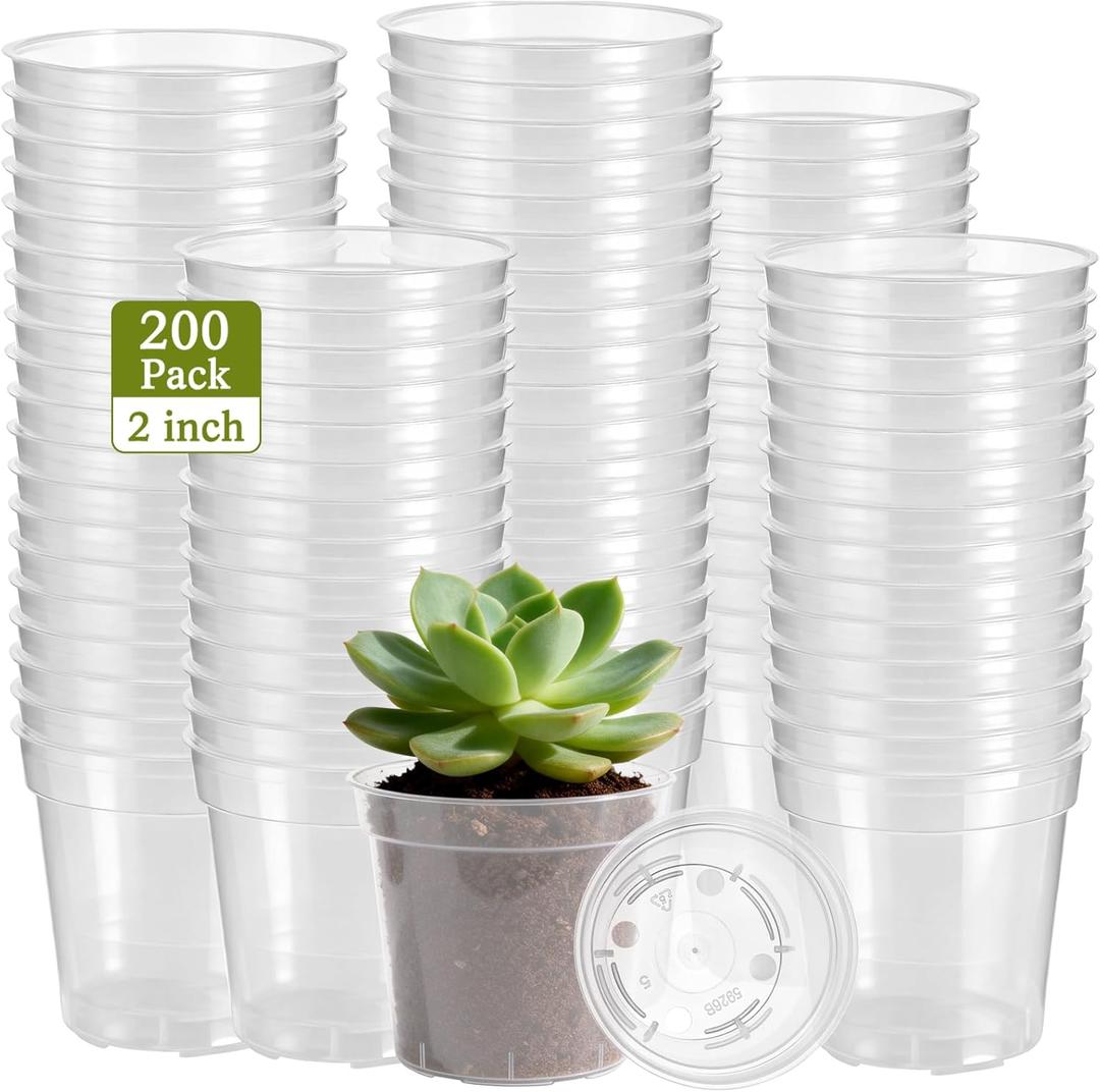 DI QIU REN 200-Count 2" Clear Plant Pots | Reusable Mini Pots with Drainage Holes for Healthier Roots | Perfect Succulent Pots for Seed Starters, Succulents, Cloning & All Indoor/Outdoor Gardening