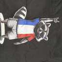 Raccoon France T-Shirt M