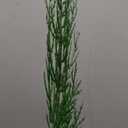 Hananona Artificial Pine Branches,40 Pcs Christmas Faux Cedar Stems, Artificial Faux Cedar Branches, Fake Christmas Greenery Pine Picks for Wreath Craft DIY Home Kitchen Decorations (40, Green)