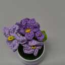 Blync Knitting Crochet Flowers Potted Plants, Fake Forget Me Not Flowers for Friends, Family and Lover, Artificial Handmade Flowers for Valentines Birthday Wedding Gift and Home Decor (Gpurple)