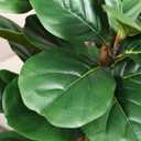 Artificial Fiddle Leaf Fig Tree with White Planter,5ft Tall Fake Tree with Natural Wood Trunk for Home Decor, Faux Ficus Tree Fake Moss for Indoor Office Living Room
