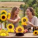 11PCS Sunflower Party Honeycomb Centerpieces Decorations You Are My Sunshine Table Decor Birthday Baby Shower Summer Party Supplies（Assembly Needed）