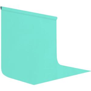 10x10FT Lake Blue Screen Backdrop for Photography, Chromakey Blue Photo Background Curtain Seamless for Video Meeting Photoshoot Party