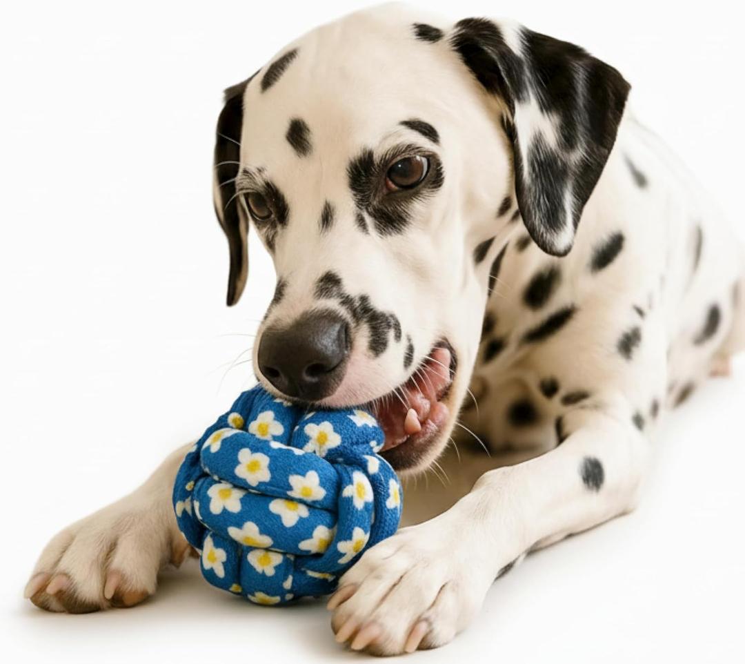 2 x My Pet & Me  Knotted Ball Rope Dog Toy (2.7 Inch)  Dog Chew Toy for Puppies and Small Dogs  Ideal for Fetch, Teething, and Interactive Play