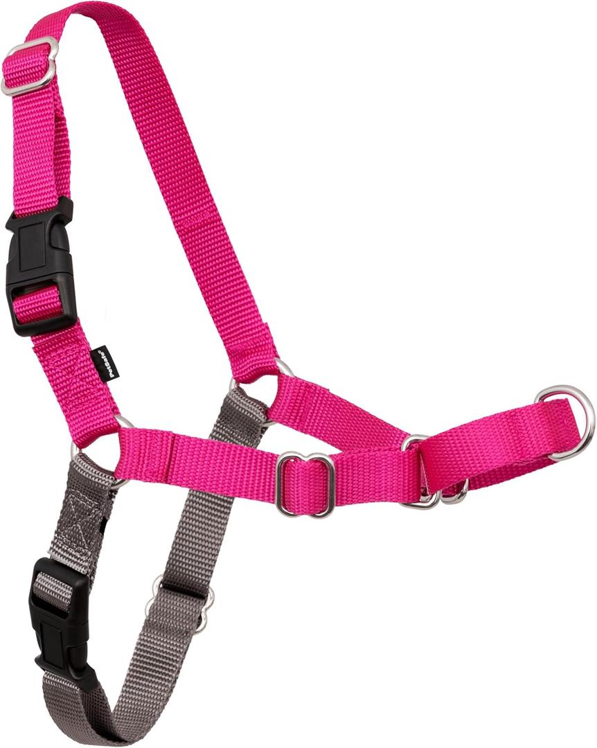 PetSafe Easy Walk Harness for Dogs - Pull-Free Walks - Patented Martingale Loop Design - Front Chest Leash Attachment - Adjustable Comfort Straps - Breathable Harness Design - Medium, Raspberry/Gray