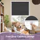 SEEYE Cordless Roller Shades for Windows, 100% Blackout Window Blinds for Privacy & UV Protection, Pull Down Room Darkening Door Blinds, Easy to Install for Home and Office (20" W x 72" H, Black)