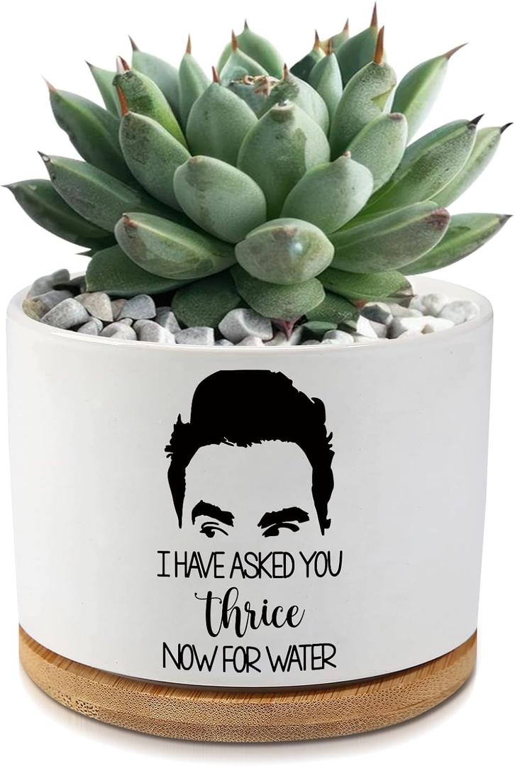 I Have Asked You Thrice Now for Water Ceramic Succulent Planter Pot with Drainage,Funny Plants Pots Schitts Merchandise Gifts,for Women Mom Plant Lovers Gifts,3.5 inch(Plant Not Included)