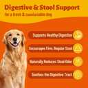 2 x 330 Bites No Poo Chews for Dogs – Coprophagia Deterrent with Probiotics, Digestive Enzymes, Yucca Extract & Vitamin B1 - Supports Gut Health & Constipation Relief, 7.76 oz