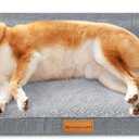 Patas Lague Orthopedic Dog Bed for Medium Dogs, Waterproof L Shaped Medium Pet Sofa Beds with Removable Washable Cover, Soft Comfortable Pet Couch Mat with Nonskid Bottom, 30''X20'' Grey