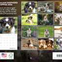 Australian Shepherd Puppy Calendar 2026 Monthly Wall Calender 12 Month | American Made In The USA