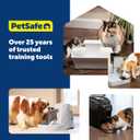 PetSafe Ceramic Pet Fountain  for Cats and Small Dogs  60 Oz Water Capacity  Whisper-Quiet Water Flow  Great for Shy or Timid Pets  Fresh, Filtered Water (1 Count (Pack of 1))