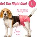 Pet Soft Washable Female Diapers (3 Pack) Female Dog Diapers, Comfort Reusable Doggy Diapers for Girl Dog in Period Heat (Sprightly, L)
