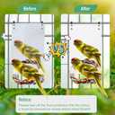 9.4‘’ Bird Mirror for Cage, Coolrunner Bird Parrot Mirror with Rope for Cockatiel Conures, Lovebirds, Parrot, Canaries, and Budgies
