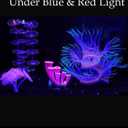 ZtohPyo 4 Pieces Aquarium Fish Tank Decorations with Glowing Effect, Silicone Glow Artificial Ornament Coral Reef Plants for Aquarium Decoration Small and Large Fish Bowl Decor Accessories