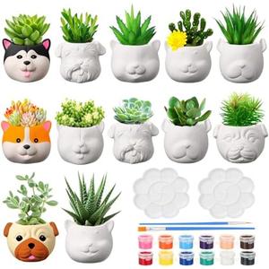 Hushee 6 Sets Ceramic Succulent Planters Paintable Succulent Plant Pots Small DIY Figurines Unpainted Pots with Drainage Hole Color Paints Paintbrushes Palettes(Dog)