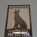 Vintage Tin Sign Cat Angels - Funny Metal Signs, Artwork, Cute Shabby Chic Decor for Cat Lovers, Home Wall Art, 12x8" (Angels have Whiskers)