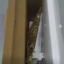 Brizled Gold Christmas Tree Topper, 9 Hollow-Out Star Tree Topper with 10 Warm White Lights, Pre-lit 5 Point Star Treetop, 120V UL Listed Lighted Treetop for Christmas Tree Home Decoration