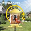 NETVUE by Birdfy Smart Bird Feeder with 2K AI Camera Solar Powered, 3MP Wireless Wildbird Watching, Live Stream & Night Vision, Auto-Capture & Notify, Collection & Cloud Storage (AI by Subscription) (Yellow)