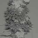 White and Silver Christmas Snowflake Ornaments- 36Pcs Plastic Glitter Hanging Snow Flakes for Christmas Tree Decorations Winter Wonderland Frozen Birthday Party Holiday Home Decor Craft Snowflakes