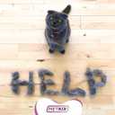 Large Lint Roller 6.3" with Extra Refill -120 Sticky Sheets, Protective Cover Design, Big Lint Roller for Pet Hair, Furniture, Bed, Couch, Floor & More