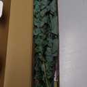 22 Pcs Large Dried Eucalyptus & Silver Dollar Leaves Bundle - Natural Real Fresh Eucalyptus, 17" Preserved Eucalyptus Stems for Shower Hanging, Bathroom Decor, Garland, Greenery Plant