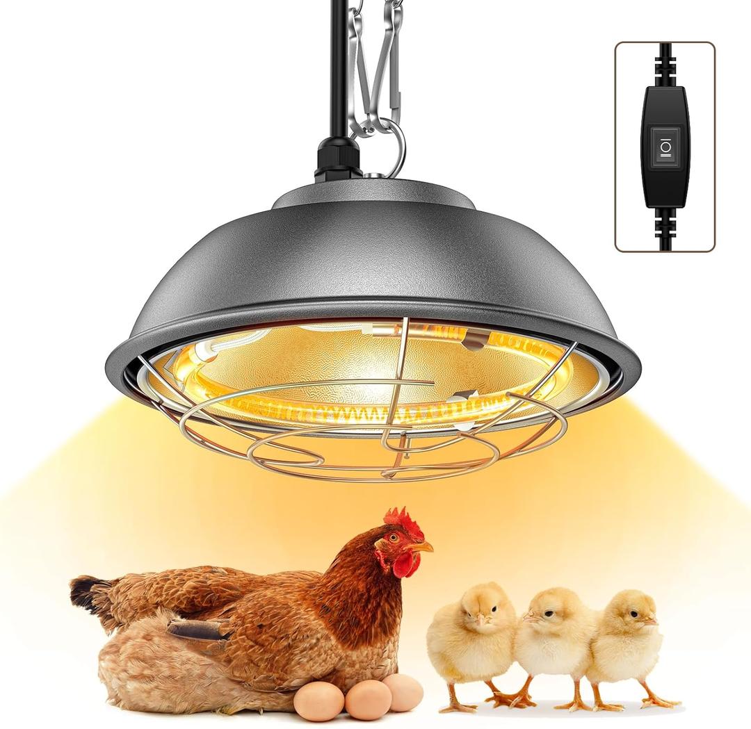 350 Watt Heat Lamp for Chickens - Chtoocy Chicken Coop Heater with Carbon Fiber Bulb, 5.2FT Thickened Power Cord & Chicken Heat Lamp with 2 Temperature Adjustable (175/350W) for Chicks, Ducks and Pets