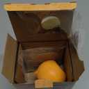 Creativity for Kids Plant-A-Pet: Kitty - Arts and Crafts for Kids, Mini Gifts for Girls and Easter Basket Stuffers for Kids, Chia Seed Plant Pet (Ages 6+)