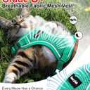 Cat Harness and Leash for Walking Escape Proof Soft Adjustable Cat Leash Breathable Comfortable Vest Easy to Wear Kitten Harness for Outdoor Travel (Emerald, M (13-18lb))
