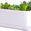 VanEnjoy 10 Inch White Rectangle Ceramic Succulent Planter Pot Decorative Cactus Plant Pot Flower Container with Ceramic Tray