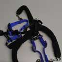 Original Sporn Halter - Medium Size No Pull Dog Harness for Large Dogs That Pull - Adjustable, Lightweight & Anti-Choke Dog Halter Harness for Training & Walking Strong Pullers, M, Blue