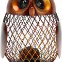 Owl Piggy Bank, Metal Owl Piggy Bank Money Saving Box Animal Money Bank with Bottom Cap Money Bank for Boys, Girls, Kids