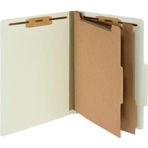 10 Letter Size Gray Green Classification Folders - 2 Divider - 2 Inch Tyvek Expansions - Durable 2 Prongs Designed to Organize Standard Medical Files, Office Reports - Letter Size, Green, 10 Pack