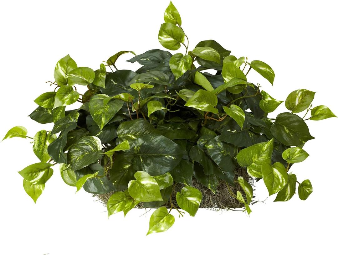 Nearly Natural 15in. Pothos Ledge Plant (Set on Foam) Silk Plant,Green