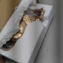 Horse Resin Statue - Horse Art Figurine - Decorative Home & Office Decor Ornaments for Desk, Bookshelf, Wine Cabinet to Attract Luck and Wealth (Q3)