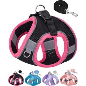 Puppy Harness and Leash Set Training - Dog Vest Harness for Small Medium Dogs (Black, S)