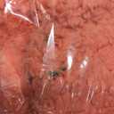 MIULEE Living Coral Bathroom Rugs Set 2 Piece, Soft Absorbent Microfiber Bath Mat Set, Non Slip Quick Dry Machine Washable Plush Shaggy Bath Rugs for Bathroom Floor, Tub and Shower, 16x24 inches