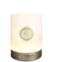Quran Speaker Lamp, Portable LED Bluetooth Touch Night Light with APP Control, Bluetooth Speaker Quran Speaker in Many Languages Including English Arabic