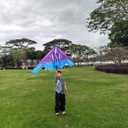 B2 Model Airplane Kite, Large Easy to Fly Kites Adults, 300FT String Reel Perfect for Beach Park Family Outdoor Activities