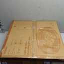 Orison 22" Caged Low Profile Ceiling Fan With Light, Remote, and App Control - Flush Mount, 7 Blades, 6 Speeds, 4 Bulbs