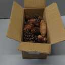 Jangostor 60 Pine Cones Decorations - Natural Bulk Package, Large Medium & Mini Sizes - Rustic Pine Cone Ornaments for Table, Christmas Tree, Crafts, Gifts, Thanksgiving, Xmas Home Decor