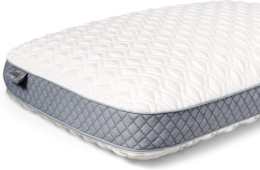 Sealy Molded Bed Pillow for Pressure Relief, Adaptive Memory Foam with Washable Knit Cover, Standard, 16x24x5.75 Inches, White, Grey (16x24x5.75 Inches)