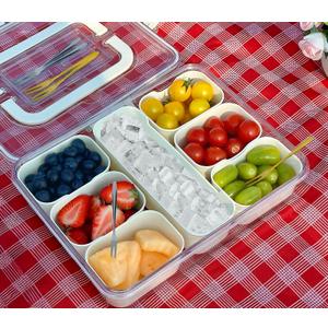Divided Serving Tray with Lid and Handle, Snackle Box Container Portable Snack Platters with 7 Compartments & Forks, Ice Chilled Organizer for Fruits, Veggies, Salad, Perfect for Entertaining,Picnic