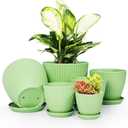 Plant Pots Indoor with Saucers & Drainage - 6 Pack Flower Pots - Plastic Planters for Indoor Planter - 7.5/6.6/5.8/5.0/4.3/3.5 inches Sizes for All Different Types of Plants-Light Green