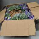2 Set Artificial Petunias Flowers with Hanging Baskets, 24 Pcs Silk Petunia UV Resistant Purple Faux Petunias Flowers with Hanging Planter for Front Door Porch Spring Outside Decor (2, Purple)