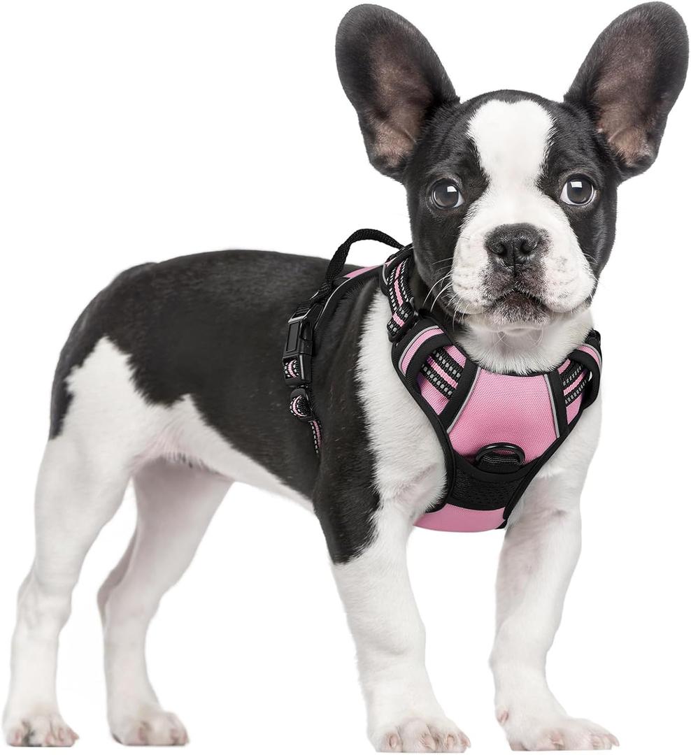 rabbitgoo Dog Harness No Pull with 2 Leash Clips, Adjustable Soft Padded, Reflective Oxford No Choke Pet Vest with Easy Control Handle for Dogs, Pink, Small