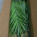 DILATATA 12PCS Artificial Palm Leaves Stems Tropical Faux Palm Foliage Greenery Picks Fake Palm Plants for Vase Wedding Bouquets Home Garden Indoor Outdoor DIY Decor