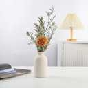 Beige Ceramic Vase, Dry Flower Vases Minimalism Style for Modern Table Shelf Home Decor, Fit for Fireplace Bedroom Kitchen Living Room Centerpieces Office Desk Best Decoration(Beige)