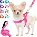 Lukovee Dog Harness and Leash Set, Soft Padded Small Dog Harness, Neck & Chest Adjustable Reflective Vest Puppy Harness with 4ft Lightweight Anti-Twist Dog Leash for Small Dogs (XX-Small, Pink) (XXS ( Chest 11.5'' ~ 15''), B-pink)