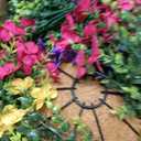 2 Sets Artificial Hanging Flower for Outdoors, Fake Hanging Basket for Outside,2 Hanging Basket with 26 Pcs Faux Silk Flowers for Porch, Balcony and Patio Decor(Mixed)